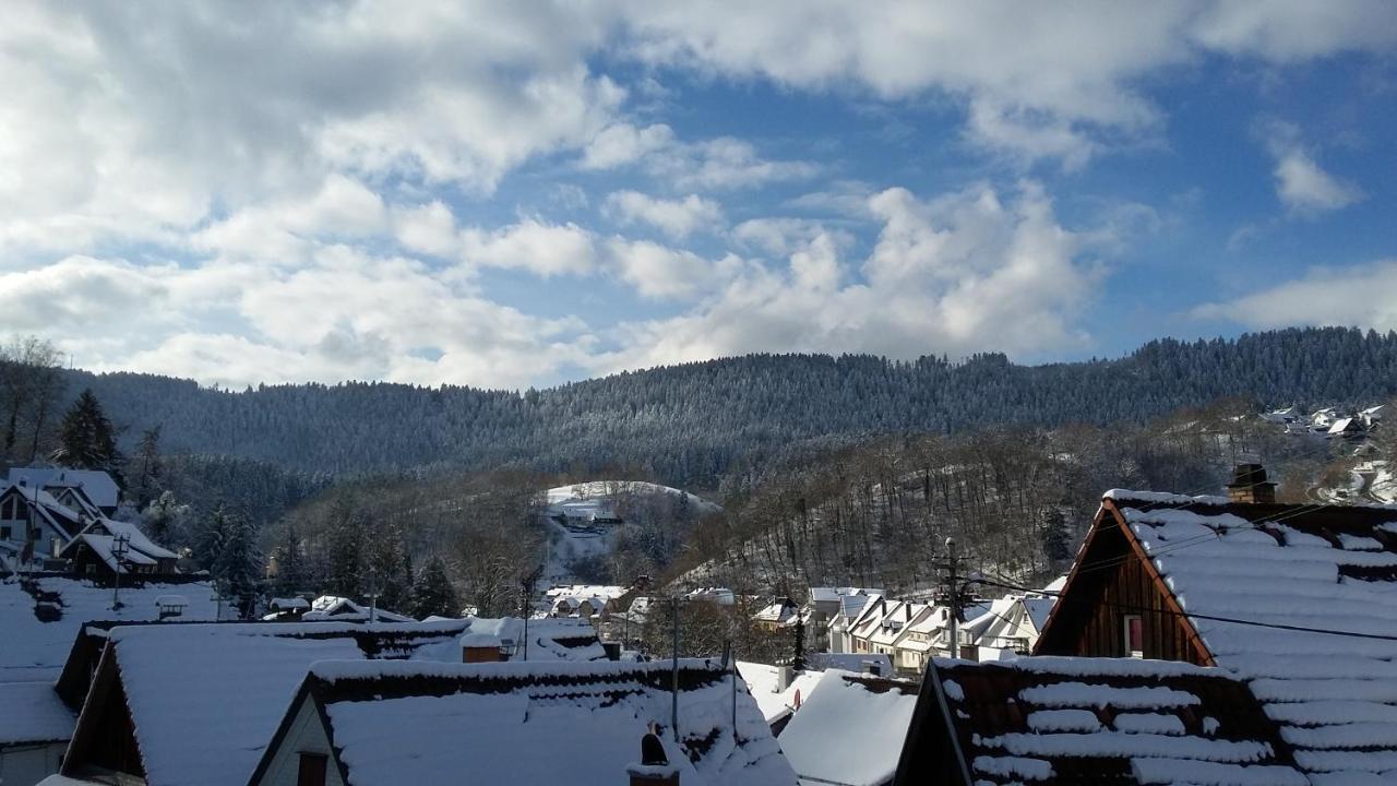 Meisterhaus Alpirsbach Loft Bagian luar foto